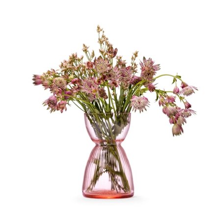 In Flore Chloe Hyacint Vas Krukor & vaser Rosa 15 cm