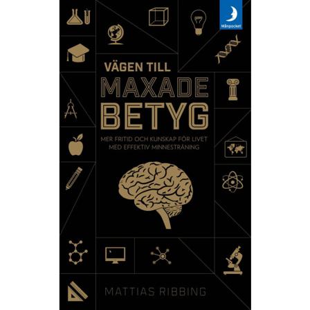 Vägen Till Maxade Betyg 9789175033396