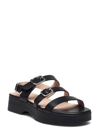 B-8403 Pergamena Black Wonders