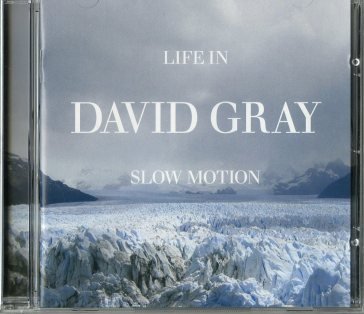 Life in slow motion David Gray