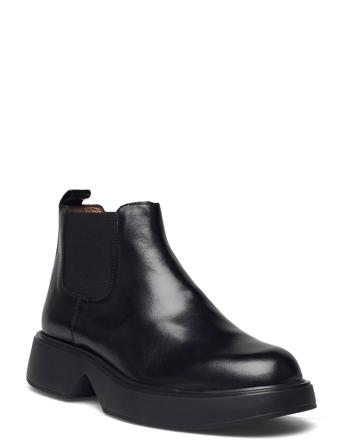 B-8204 Black Wonders