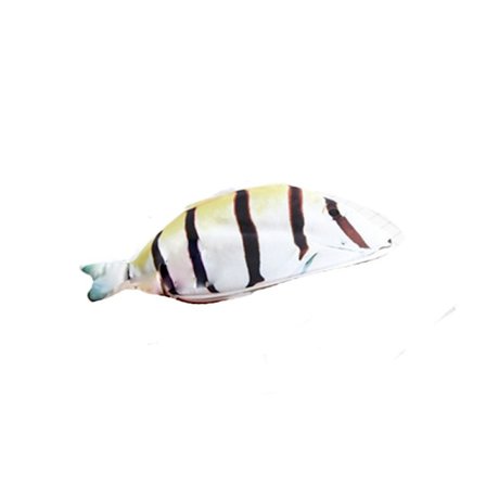Fish Shape Penal Carp Pen Bag 1 1