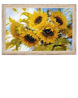 Stramaj Solsikker - Collection D'Art