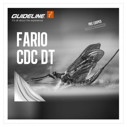 Guideline Fario CDC DT #5