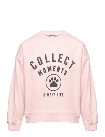 Dublini Sweat-shirt Genser Rosa Mango