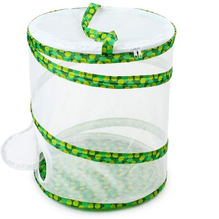 Insekt och fjärilshabitat bur nät hopfällbar behållare