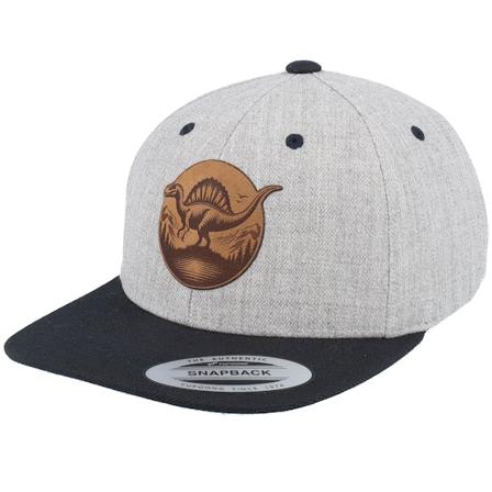 Kiddo Cap - Grau snapback Cap - Kids Stegosaurus Patch Heather Grey/Black Snapback @ Hatstore