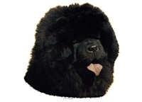 Chow chow svart - klistremerker