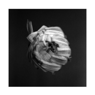 An empire A Swarm Of The Sun