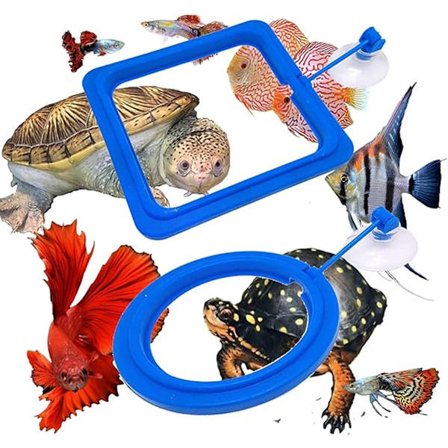 4x Flydende Foderringe - Akvariefoderringe - Flydende Fiskefoderringe - Fiskefoderringe med Sugekopper - Blå