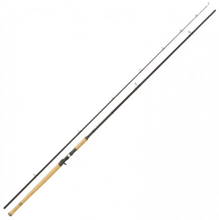 Abu Garcia Salmon Seeker 12' 50-150g Casting