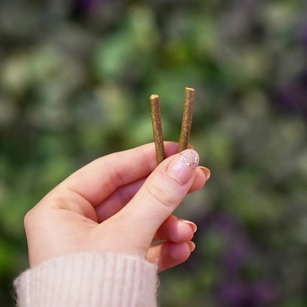 ECOstyle Stueplante gødningspinde 30 stk., Tøj & Bolig, Husholdning, Havetilbehør