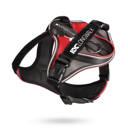 JULIUS-K9 - K9 IDC Longwalk Röd/Grå - Hundsele