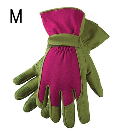 Rød 1 par damehavehandsker, torn og punktering rose