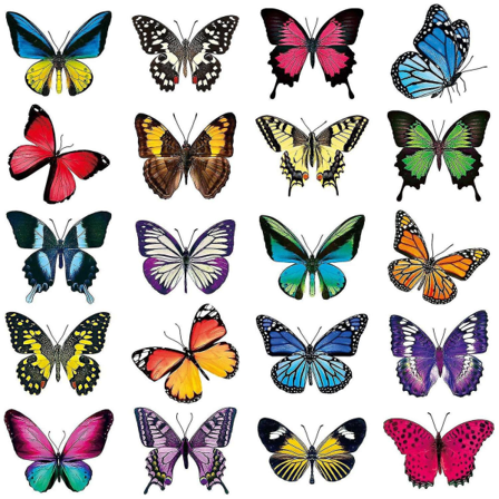 20 stk. Store Butterfly Vindueklistermærker Anti-kollision Vindueklistermærker Dekaler til at Forhindre Fuglekollision