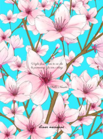 Neruda. Quaderno Mara Carli