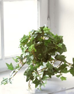 Konstväxt Murgröna Grön - Mr Plant