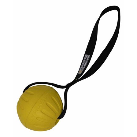 Starmark Durafoam Ball Loop - M/L