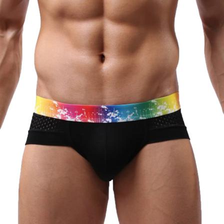 Andningsbara Underkläder För Män U Convex Pouch Low Waist Modal Mesh