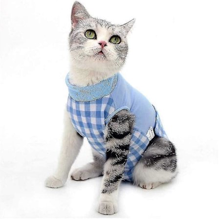 Kattebody Etter Operasjon Body For Hunder Katteklær Kun For Katter Katte Restitusjonsdrakt