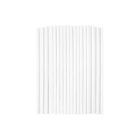 Lollipop Sticks Cake Pop Stick 7,3 CM X 2,45 MM2 LOTS 2 LOTS