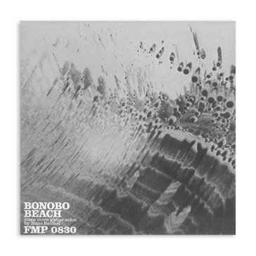 Bonobo beach HANS REICHEL