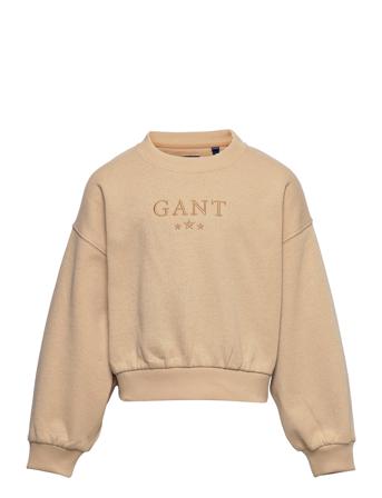 D1. Stars C-Neck Svetari Collegepaita Beige GANT
