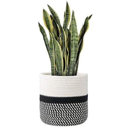 Vevd bomulls pottekurv, vevd bomulls taukurv planter for innendørs blomsterpotte dekorasjon