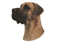 Grand danois brindle hode - klistremerker