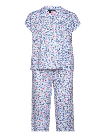 Lrl Notch Collar Capri Pj Set Dolman Sl Blue Lauren Ralph Lauren Homewear