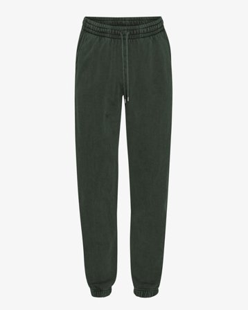 Organic Sweatpants - Midnight Forest - Male - L