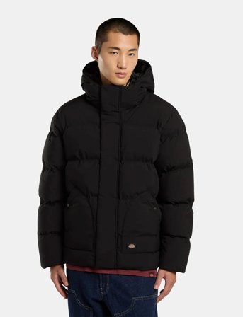 Dickies M Eagleville Hooded Puffer - Black - L
