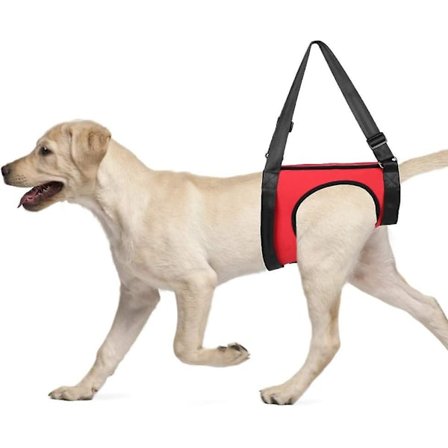 Hunde sele sele, støtte sele til hund, hjælpe hund med at gå, løfte sele, træk sele til hund til hvalp og ældre hunde (par