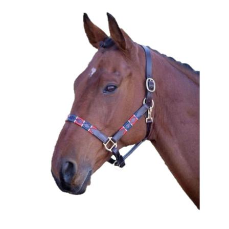 Blenheim Läder Polo Häst Halsband Pony Röd/navy