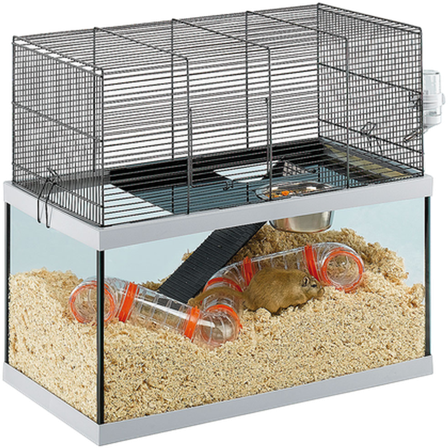 Ferplast - Gabry 60 Transparent 60 x 31,5 x 52 cm - Smådyr - Bur og transport - Hamsterbur - ZOO.no