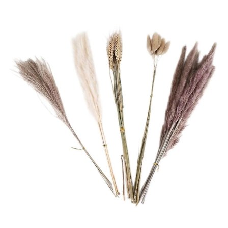 Naturlig Pampasgress Dekor 40 Stykker, 45cm Naturlig Tørket Hvit Harehale Hvete Støv Pampasgress Pl