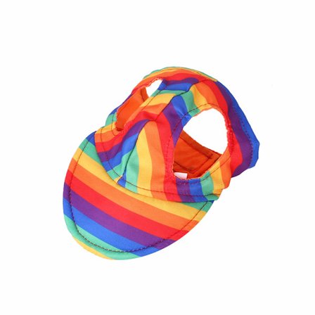 Pet Baseball Cap Hundtillbehör Husdjurstillbehör Regnbågsberet C