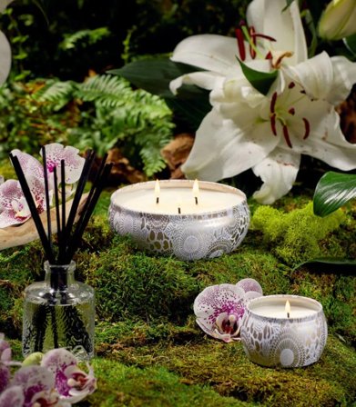 Voluspa Mokara Duftlys 3-veker 40t