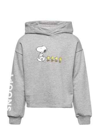 Semilio Grey Mango