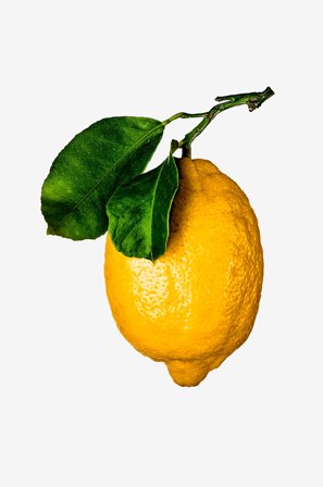 New Mags - Coffee Table Book - The Gourmand'S Lemon . A Collection Of Stories And Recipes - Valkoinen - Coffee table books - - Homeroom