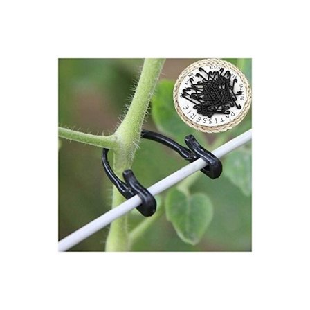 100 st Vinrankor Bind Tie Spänne Hacke Växt Grönsak Ympklämmor Jordbruk Växthus Tillbehör