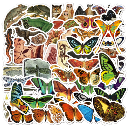 Klistermärken Fjärilar, Djur Och Natur 100-pack Flerfärgad