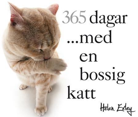 365 dagar med en bossig katt - Bok av Pam Brown - Spiralbunden