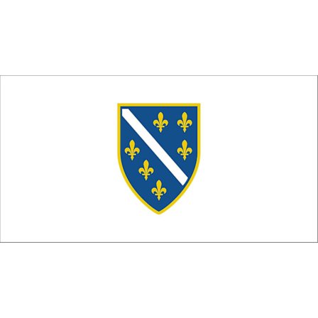 Bosniens flag (1992-1998)