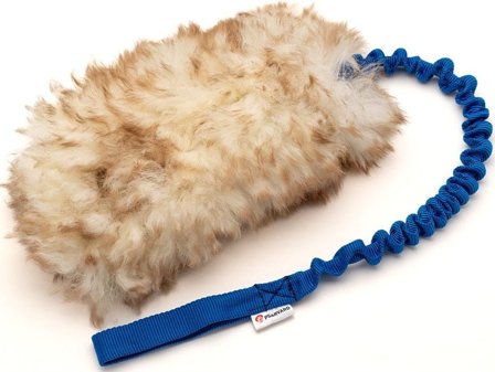 Psarvard Kampleksak Trainer Absorber M Blå