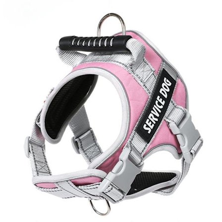 Hundsele och koppel Reflekterande hundselar för små hundar med namn