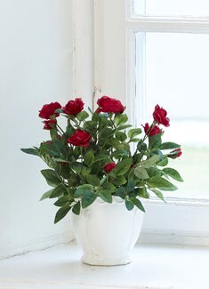 Kunstpflanze Rose Rot - Mr Plant