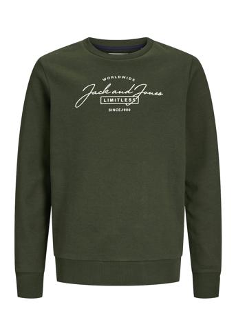 Jjferris Sweat Crew Neck Jnr Tops Sweatshirts & Hoodies Sweatshirts Green Jack & J S