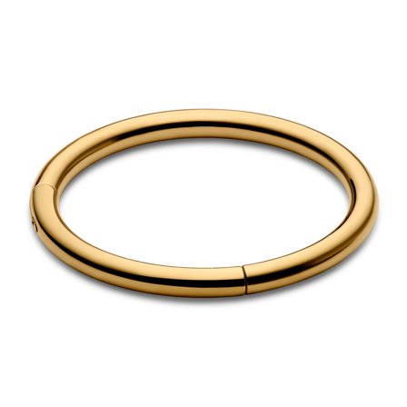 10 mm Gold-Tone Titanium Piercing Ring for Men - Lip piercing jewellery