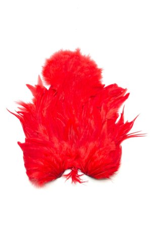 Whiting Rooster SH/C White dyed Red